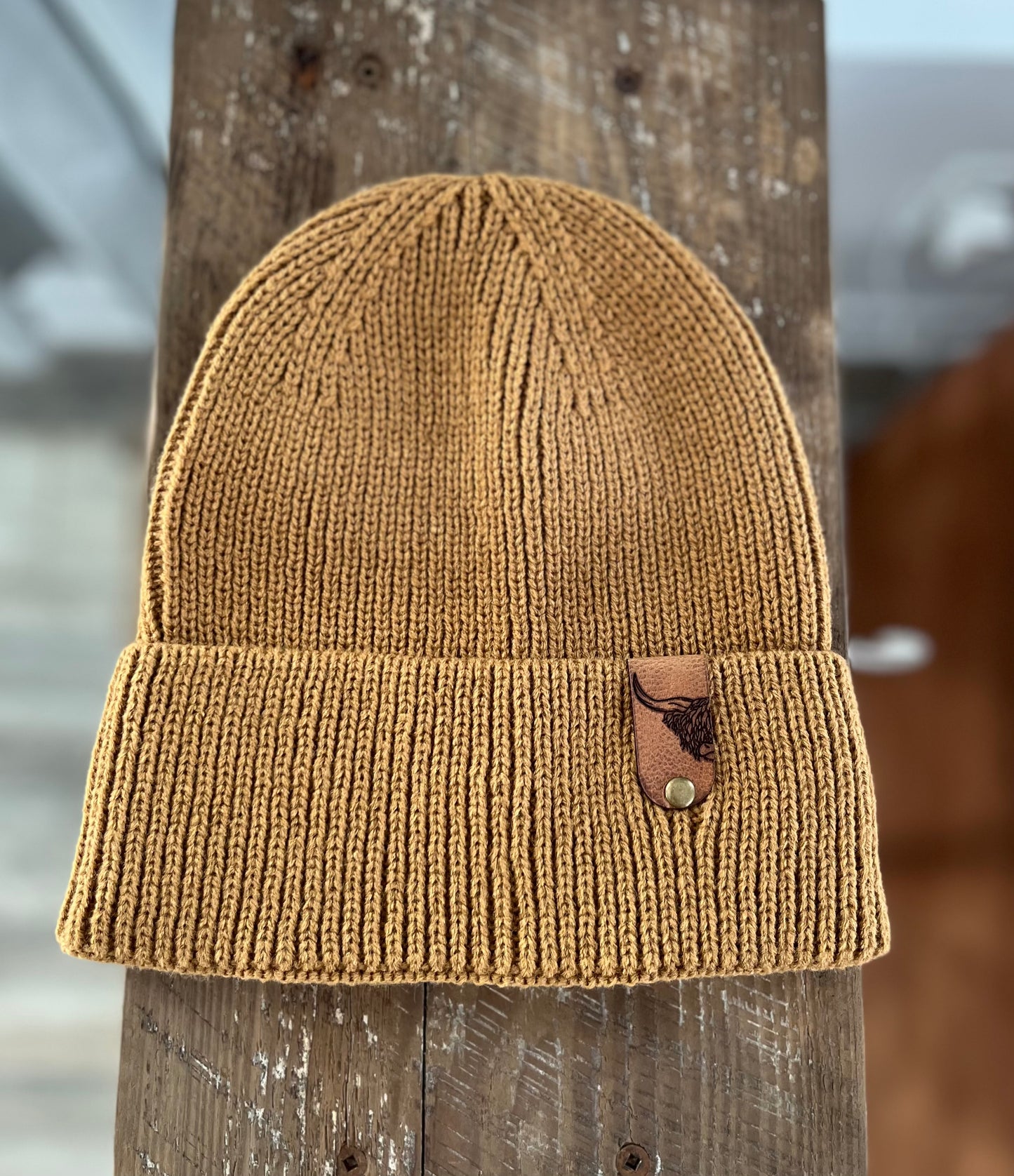 Brown snap hat